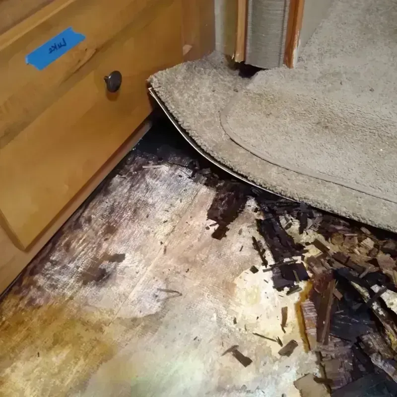 Wood Floor Water Damage in Saint Stephen, SC